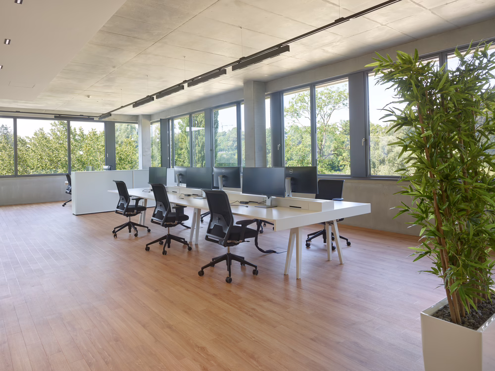 Modern conference room with wood-look flooring, large windows, a long meeting table with office chairs, and indoor plants.